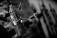 /album/fotogaleria/neumann1-jpg/